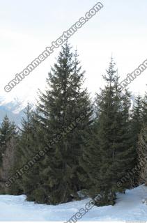 Photo Texture of Background Tyrol Austria 0012